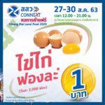 ไข่ไก่ฟองละ 1 บาท